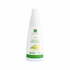 Șampon Păr Gras, Anti-mătreață - Extract de Urzică, Immortelle și Ulei de Cânepă, 300 ml